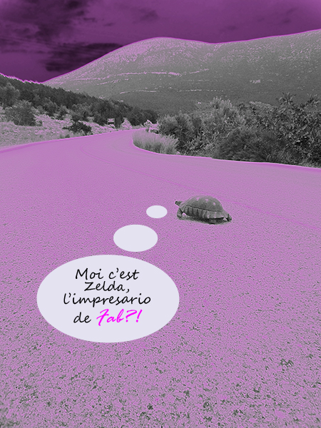 Moi, c'est Zelda la tortue qui roule plus vite que son ombre. Et oui, j’appartiens au fameux Club des ReallyfastDrivers. Je suis l'impresario de Fab?! :D